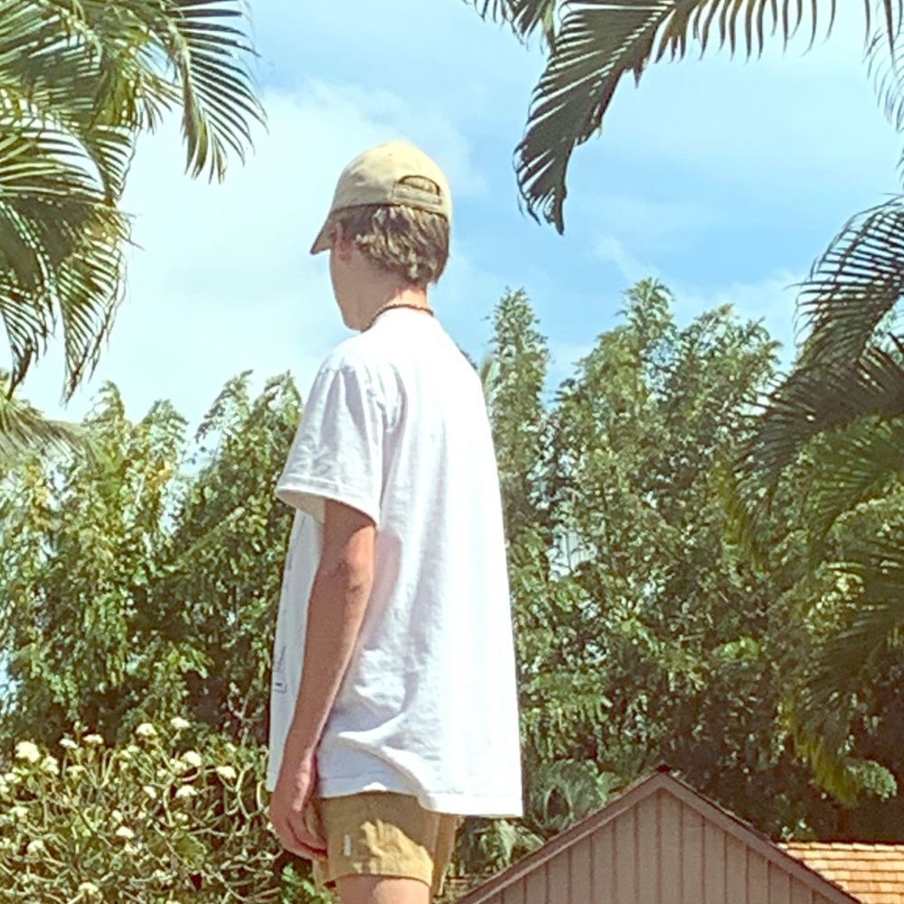 Meet your Posher, Gryffin